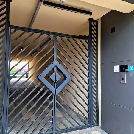 Sokolis * Kragujevac